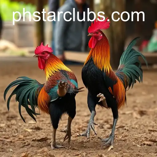 Sabong Games: A Cultural Odyssey of Cockfighting